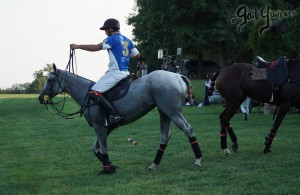 Presidents Cup Polo 2024