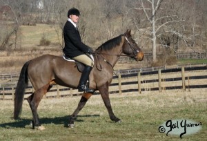 Snickersville Hounds Closing Meet 2021