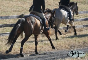 Snickersville Hounds Closing Meet 2021