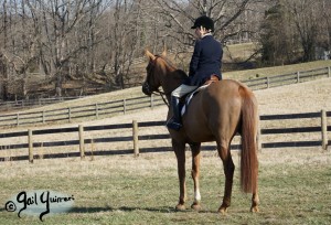 Snickersville Hounds Closing Meet 2021